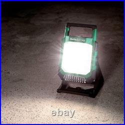 18V MultivoltT Work Light Cordless 4000 Lumen LED Tool Only No Battery